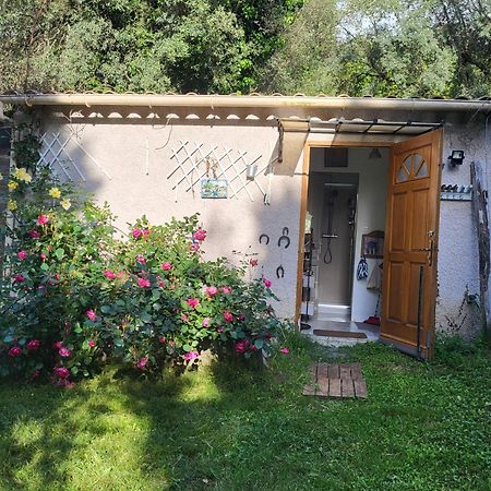 Studio A La Campagne Ucciani Exterior foto